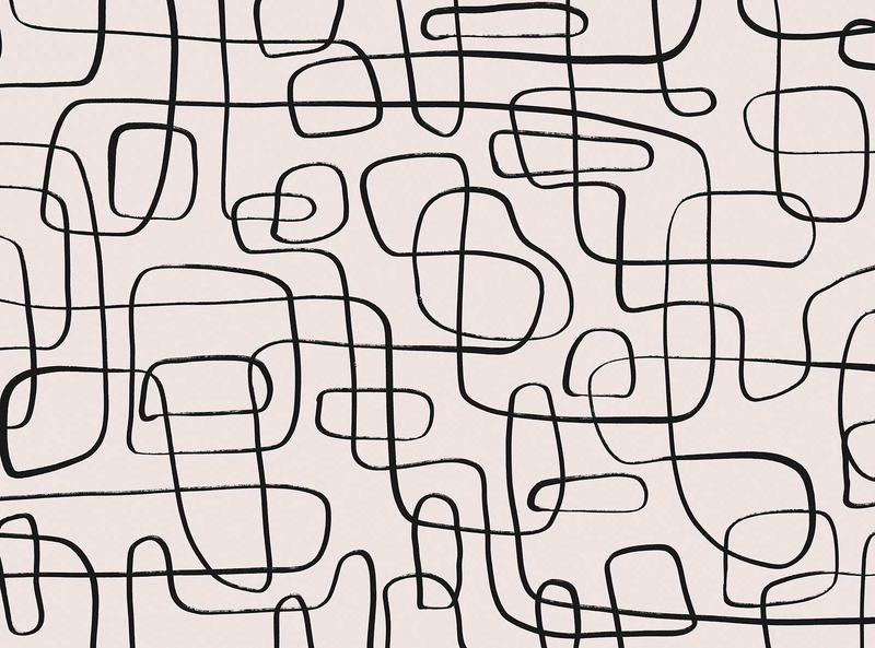 Papier Peint Japandi lignes fines 364x270 cm