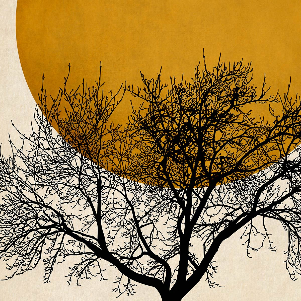 Papier Peint Japandi motif soleil d'or 208x270cm – Nom du Produit
