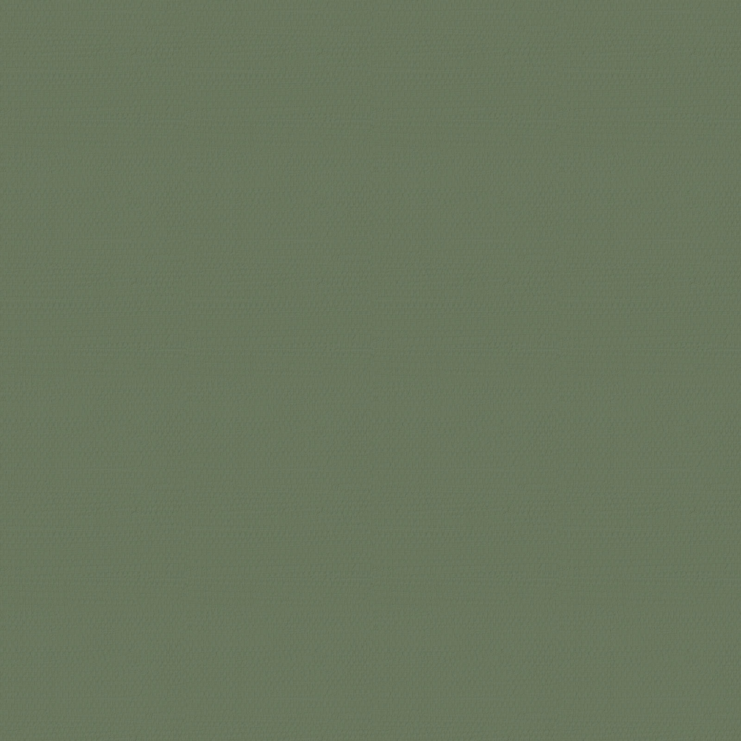 Papier Peint Uni Japandi Vert 1005x52cm – Naoni