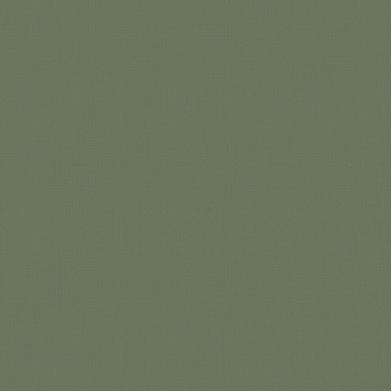 Papier Peint Uni Japandi Vert 1005x52cm – Naoni