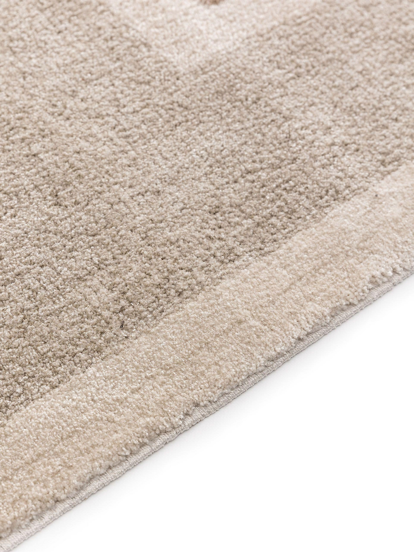 Tapis Japandi multicouleur 240x340 – Ash