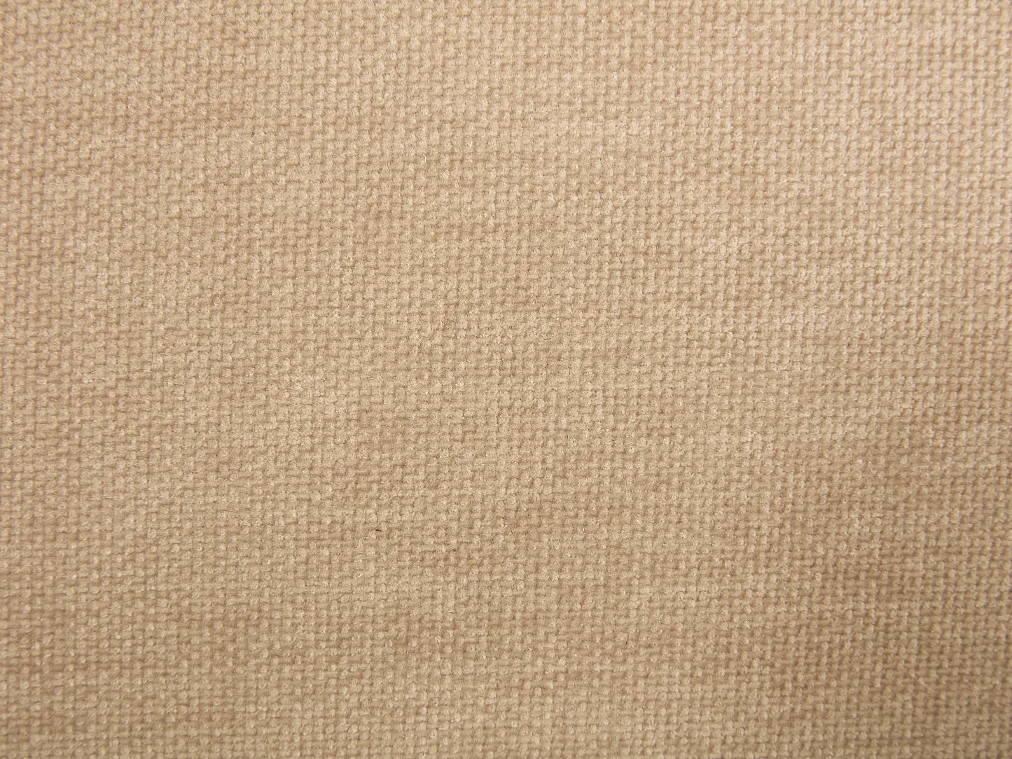 Lot 2 Chaises Japandi Tissu Noir Et Beige - Zelvyn